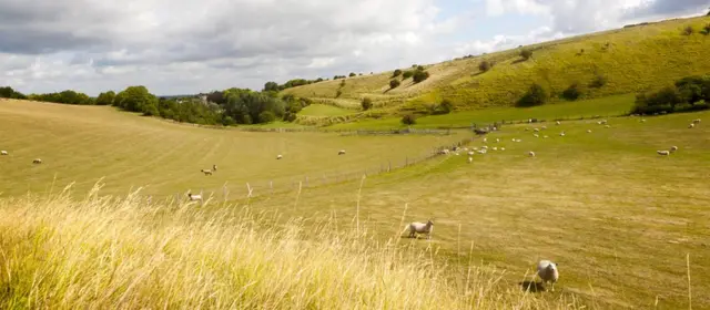 Виноделие - удел теплых графств вокруг Лондона, укрытых от ветра и дождей