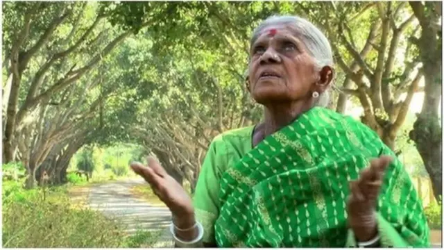 थिमक्का