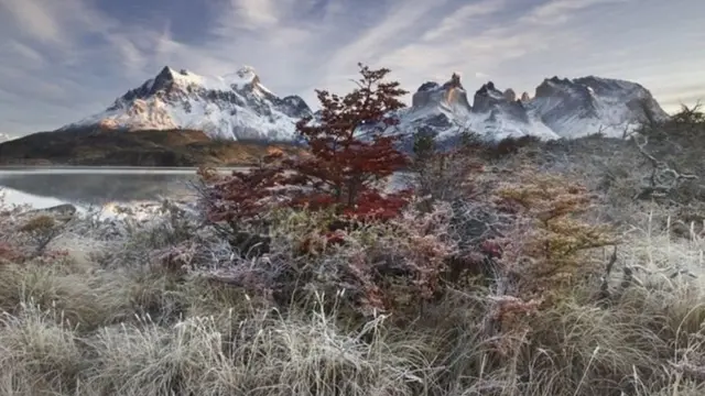 ਪੋਟਾਗੋਨੀਆ ਵਿੱਚ ਟੋਰੇਸ ਡੇਲ ਪੇਨ ਨੈਸ਼ਨਲ ਪਾਰਕ