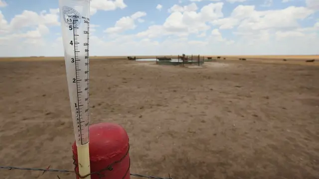 రెయిన్ గేజ్