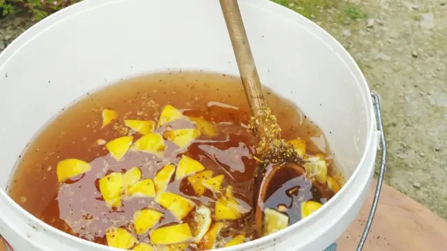 Миска с лимонадом