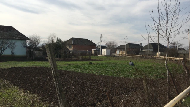 Xoşçobanlı kəndi