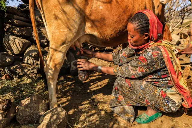 Dubartii aannan ilmaa jirtu