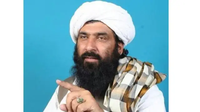 مولانا شجاع الملک په تېر کې د پاکستان ملي اسمبلۍ غړی و.