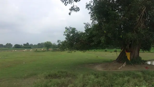 दौलतपुर महाविद्यालय, उत्तर प्रदेश, दौलतपुर कन्या महाविद्यालय, अमिताभ बच्चन, ऐश्वर्या राय बच्चन