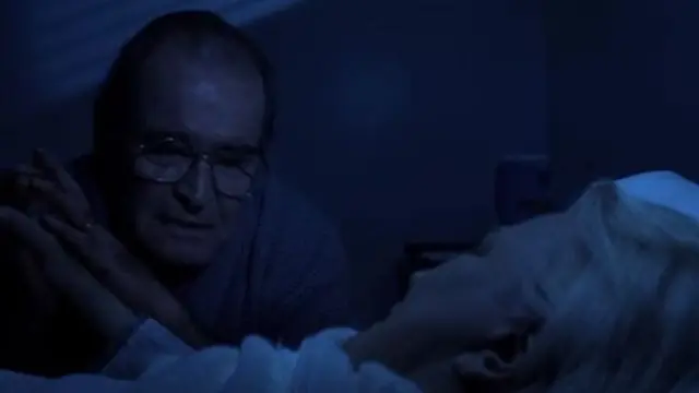 فلم نوٹ بک کا ایک منظر