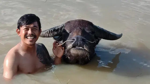 బఫెలో ఫ్రెండ్