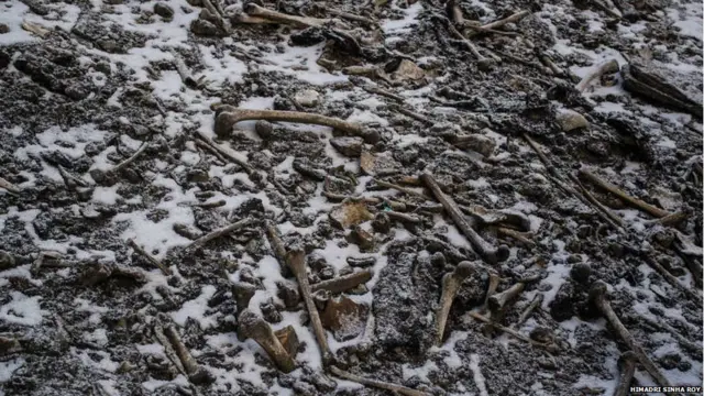 "ਪਿੰਜਰਾਂ ਦੀ ਝੀਲ"