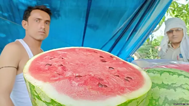 ਹਰਿਆਣਾ, ਰੋਹਤਕ, ਗਰਮੀ