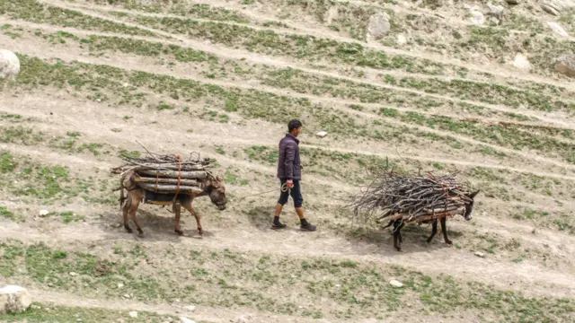 эшекке отун арткан бала