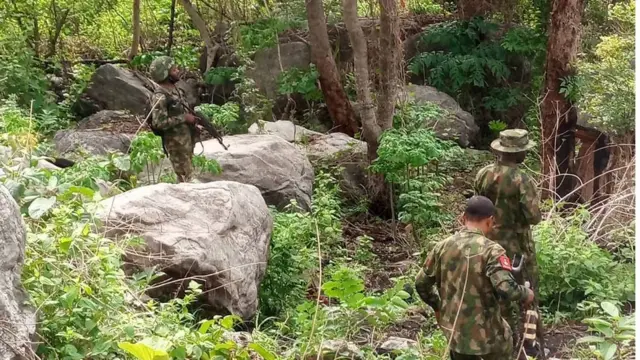 Awọn ṣọja ninu igbo