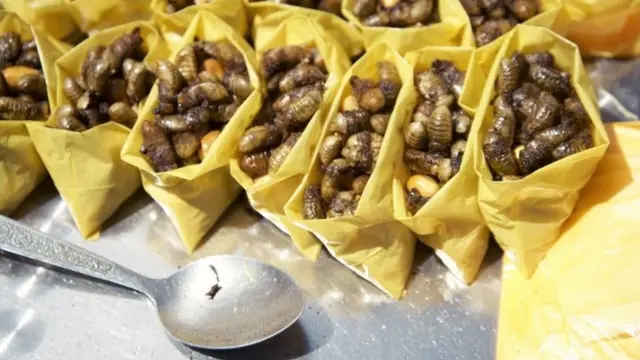 खाने वाले कीड़े