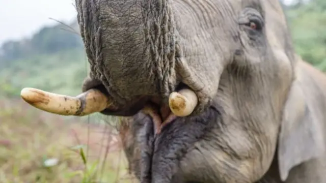 மெல்ல மெல்ல நகரும் சின்னத்தம்பி -இப்போது எங்கே?