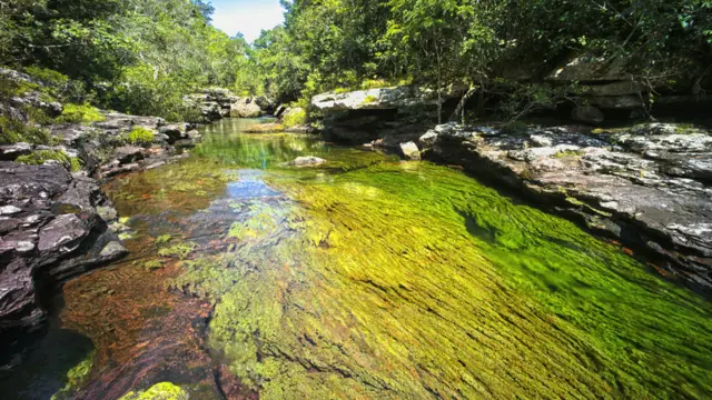 Caño Cristales