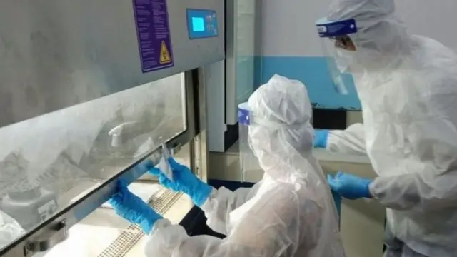 कोरोनाभाइरस