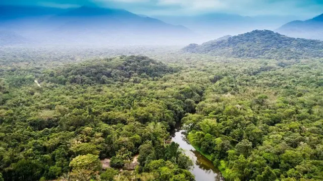 இந்தியா வருகை தர இருக்கும் பிரேசில் அதிபர் குறித்த முக்கிய தகவல்கள்