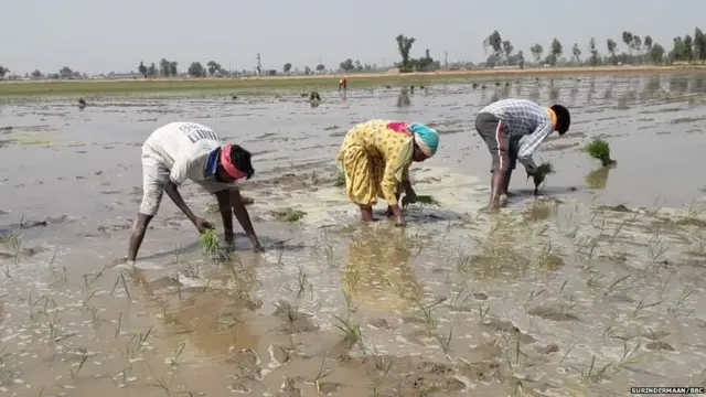 ਕਿਸਾਨ ਤੇ ਮਜ਼ਦੂਰ