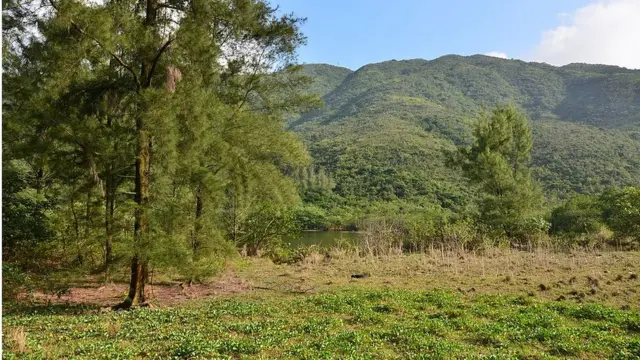 香港