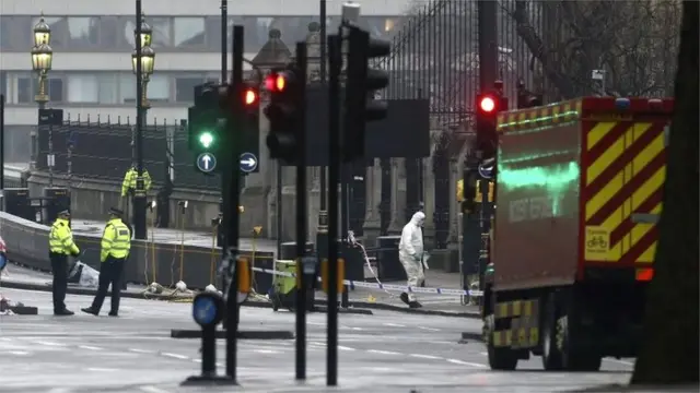 在西敏寺大桥附近的伦敦警察