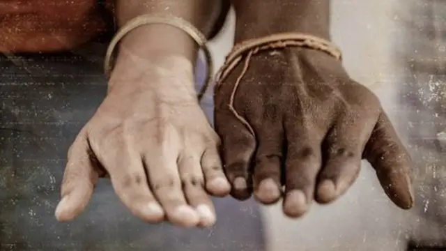 కలర్ ఫోటో