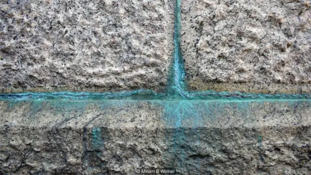 نیویارک کا خاصہ