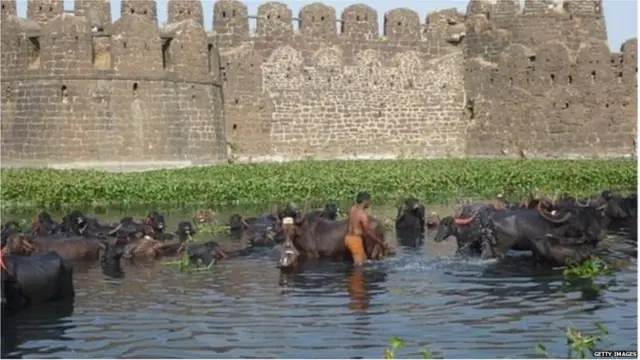 ਗੁਲਬਰਗਾ