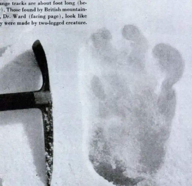 ડિસેમ્બર 1951માં માઉન્ટ એવરેસ્ટ પર મળેલાં મોટાં પગનાં નિશાન