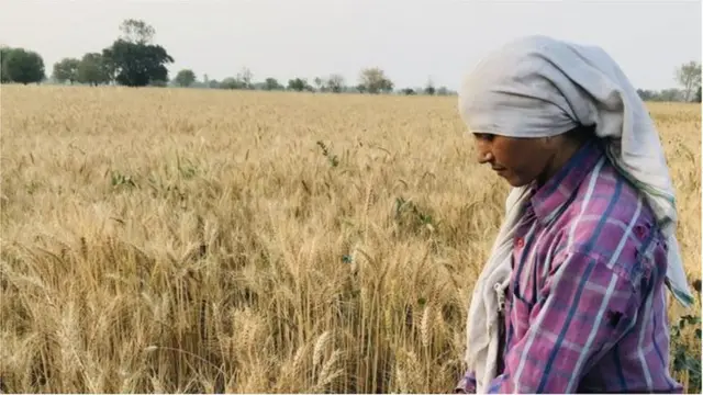 హేమమాలిని ఫొటో