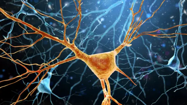 3D модель нейронов