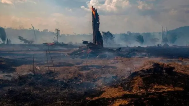 اندلاع النيران في منطقة بارا بالبرازيل في أغسطس/آب 2019