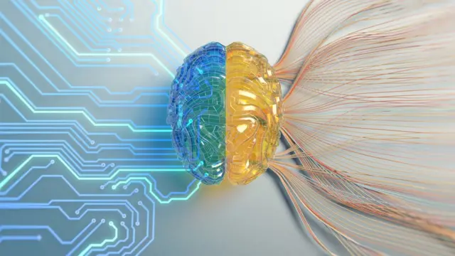 ilustración de un cerebro