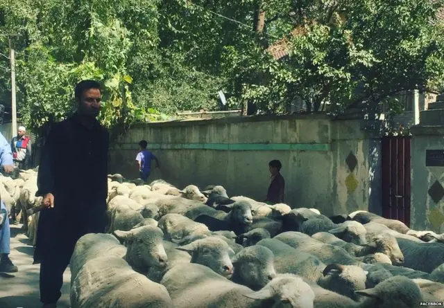 कश्मीर, त्राल, शादी, सिख, न्योता, सोशल मीडिया, फ़ेसबुक