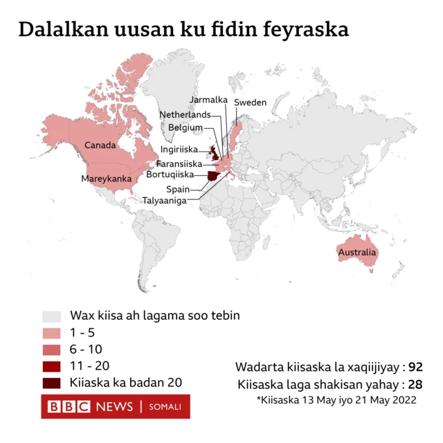 Xanuunka furuqa daanyeerka