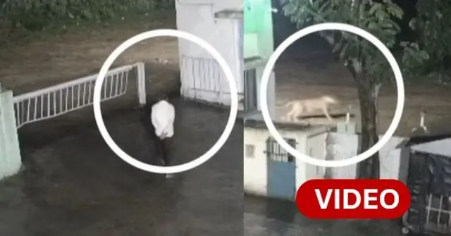 గుజరాత్