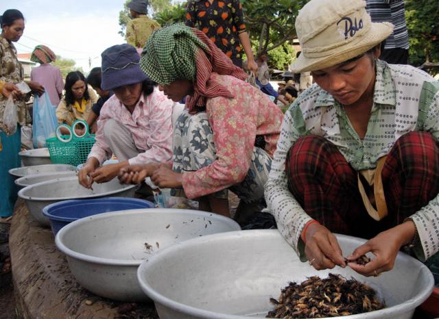 柬埔寨集市上商贩们在卖蟋蟀