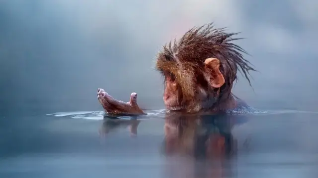 விரல் சுருக்கங்கள்