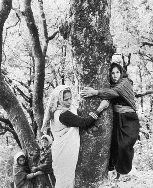 सुंदरलाल बहुगुणा, झाडं, पर्यावरण, हवामान बदल, चिपको आंदोलन