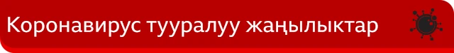 Коронавирус тууралуу жаңылыктарда иллюстрация үчүн колдонулган сүрөттөр кыямат тууралуу тасмалардай эле элес калтырат. Сүрөттө Түштүк Кореянын армиясы айыл жеринде дезинфекция кылып жүргөн учуру