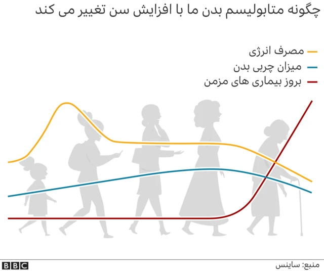 متابولیسم