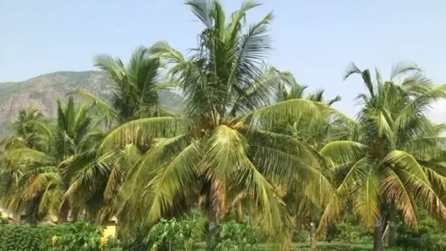 8 வழிச்சாலை