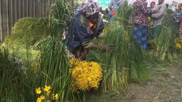 Haadha coqorsaa fi keelloo gurguraa jirtu