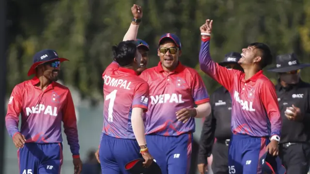 क्रिकेट