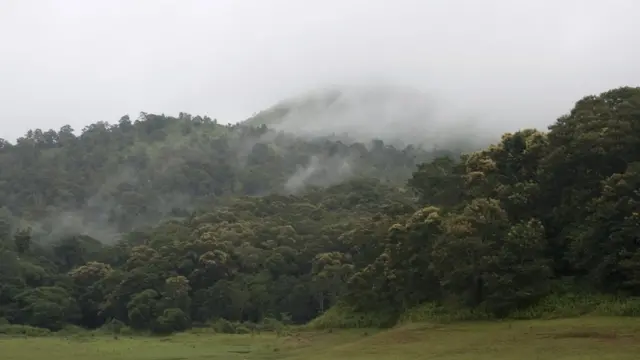 केरल बाढ़