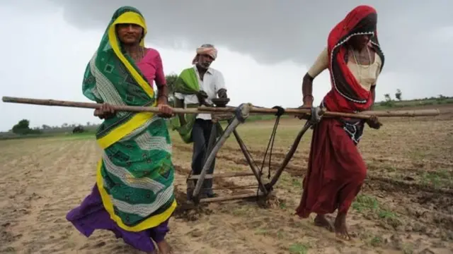 ખેડૂતની તસવીર