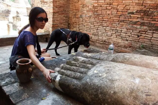 ทรายบอกว่าลูเต้อร์เป็นสุนัขนำทางที่ "ชิลมาก ปรับตัวได้ดีและมีสมาธิดีมาก"