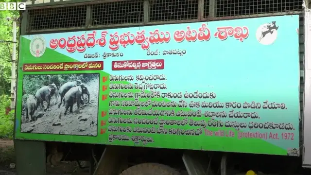 ఏనుగుల దాడి