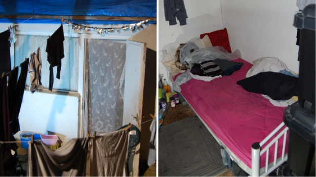 九名受害者住在伦敦北部的一所房子里；有些人被迫睡在花园的棚屋建筑里。