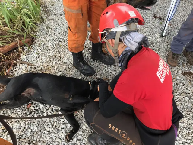 Imagem mostra sargento dos bombeiros interagindo com cão farejador que atua ns buscas às vítimas7games jogos com apkrompimento7games jogos com apkbarragem7games jogos com apkBrumadinho (MG)