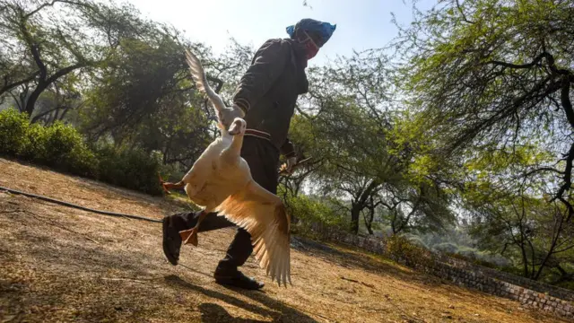 પ્રતીકાત્મક