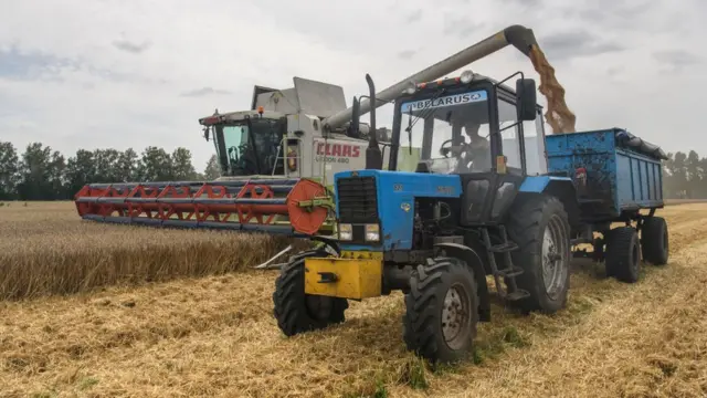 ယူကရိန်းနိုင်ငံစိုက်ခင်းတခု